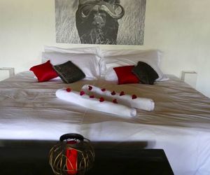 Nyota Mara Lodge Aitong Kenya