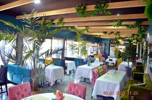 Hotel Photo 13