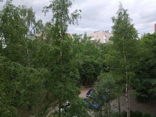 Nice new apartment in the quiet green area