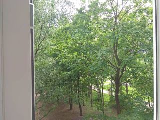 Квартира в центре у Невы.