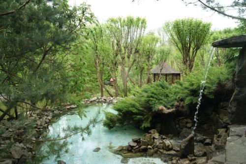 صورة الفندق 21