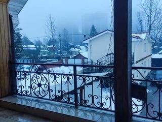 Северная Звезда