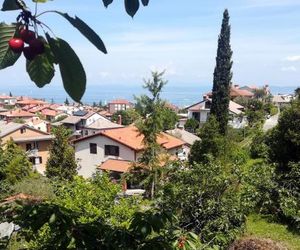 Parenzana 376 Izola Slovenia