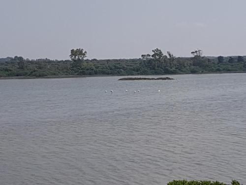 صورة الفندق 12
