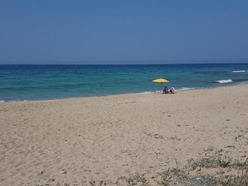 صورة الفندق 18