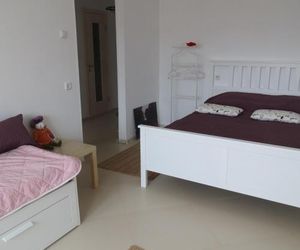 Apartment on Kommunalnaya 70 Pskov Russia