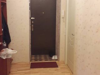 One-bedroom apartment in the city center