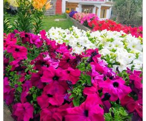 Glacier View Guest House Leh India