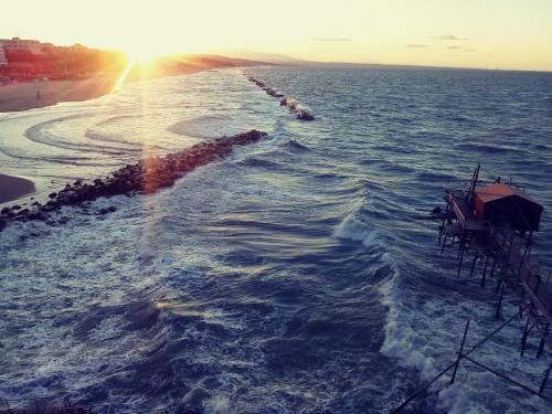 صورة الفندق 17
