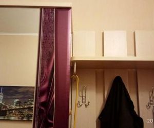 Apartment Rosa36 Pushkin Russia