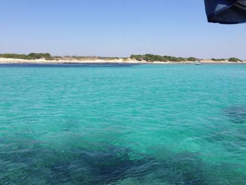 صورة الفندق 23