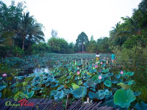 صورة الفندق 17
