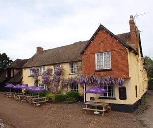 Red Lion Exeter United Kingdom