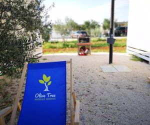 Olive Tree Mobile Homes Sveti Filip i Jakov Croatia