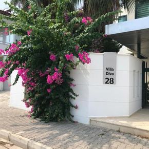 NearBy Hotel