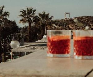 Anamnesia boutique apartments Naxos town Naxos Town Greece