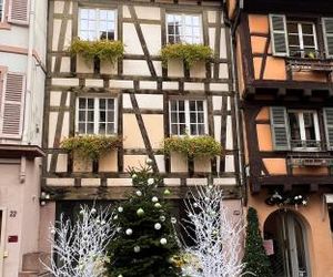 Les Suites Du Cygne Colmar France