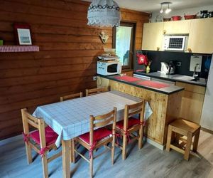 Apartment Le yeti 1 Chatel France