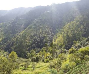 NatureRaga Pristine mountain lodge Chail India