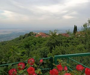 Kiko Sighnaghi Georgia
