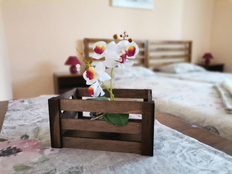صورة الفندق 10