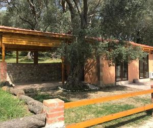 Olive Paradise Ulcinj Montenegro