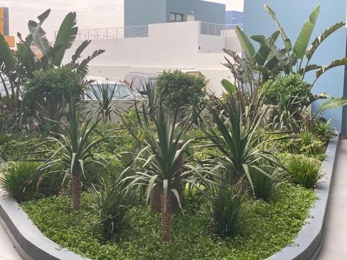 صورة الفندق 24