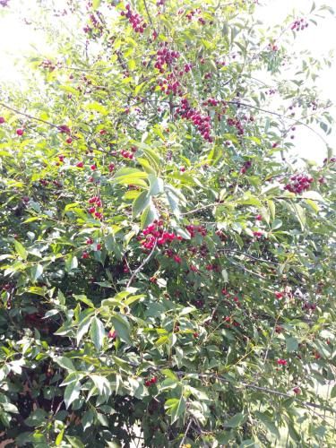 صورة الفندق 6