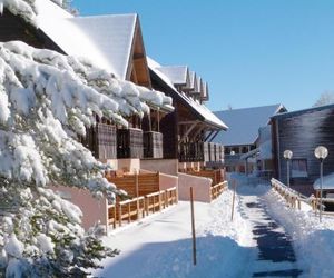 Apartment Le Bois de la Reine.4 Besse-et-Saint-Anastaise France