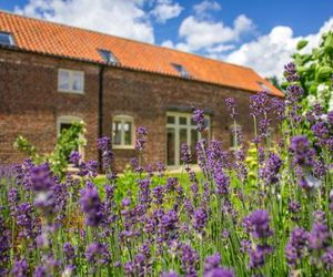 Shakespeare Cottage Lincoln United Kingdom