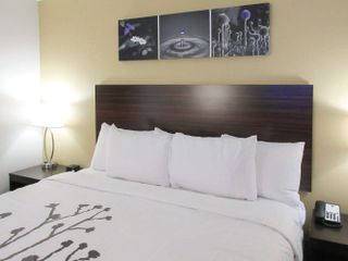 Hotel pic Sleep Inn & Suites- Clarksville