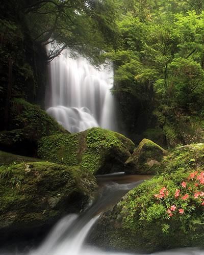 صورة الفندق 4