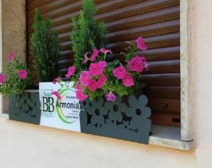 Residence Armonia Sulmona Italy
