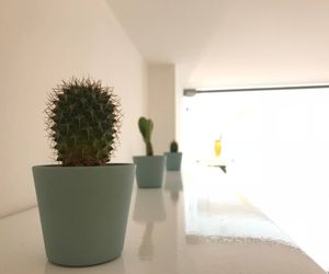 Cactus House Catania Italy