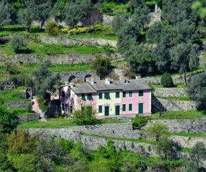 Villa Olivari - apt il Cedro Camogli Italy