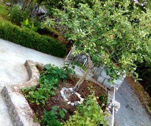 Country house "Lipa" Komarno Virpazar Montenegro