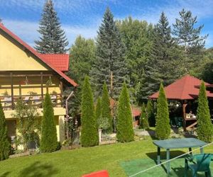 Casa Galbena Slanic Romania