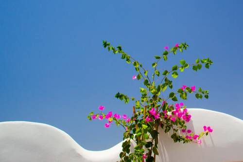 صورة الفندق 19
