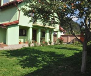 Pensiunea Casa Ecaterina Risnov Romania