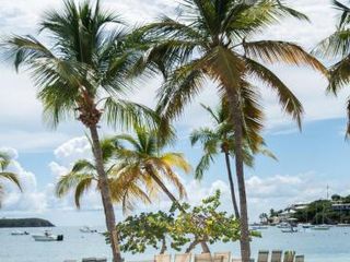 Фото отеля Caribbean Beachfront Condo, St Thomas USVI Cowpet Beach West