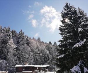 Chalet Zeni Andalo Italy