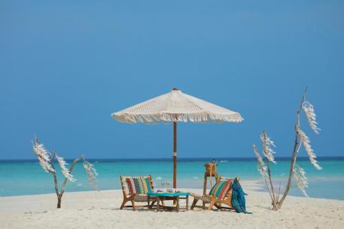 صورة الفندق 24