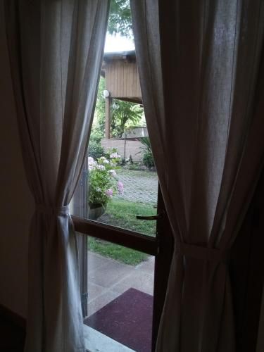 صورة الفندق 8