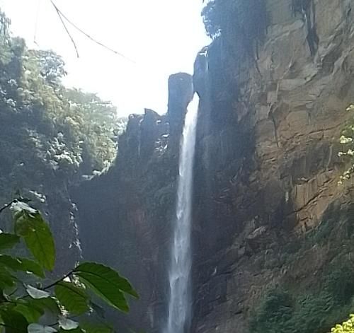صورة الفندق 7