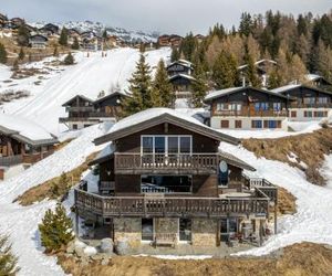 Rupicapra Bettmeralp Switzerland