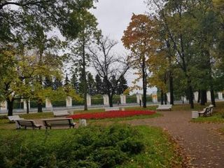 Петергофский парадиз