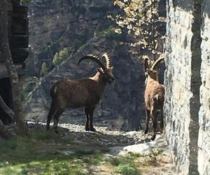 Kornstadel "Arida Prata" Grachen Switzerland