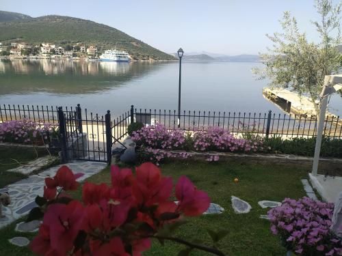 صورة الفندق 1
