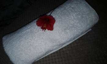 صورة الفندق 12