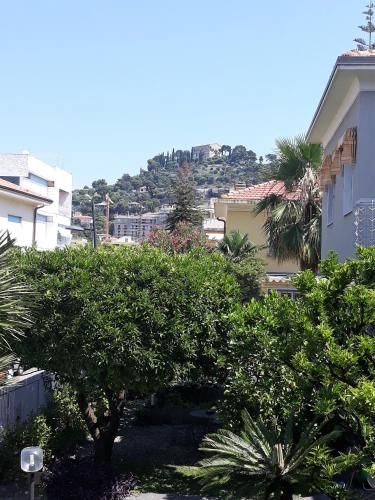 صورة الفندق 20